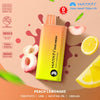Hayati Duo Mesh 7000 Disposable Vape Puff Bar Pod Box of 10 - Vape wholesale supplies